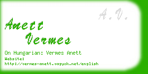 anett vermes business card
